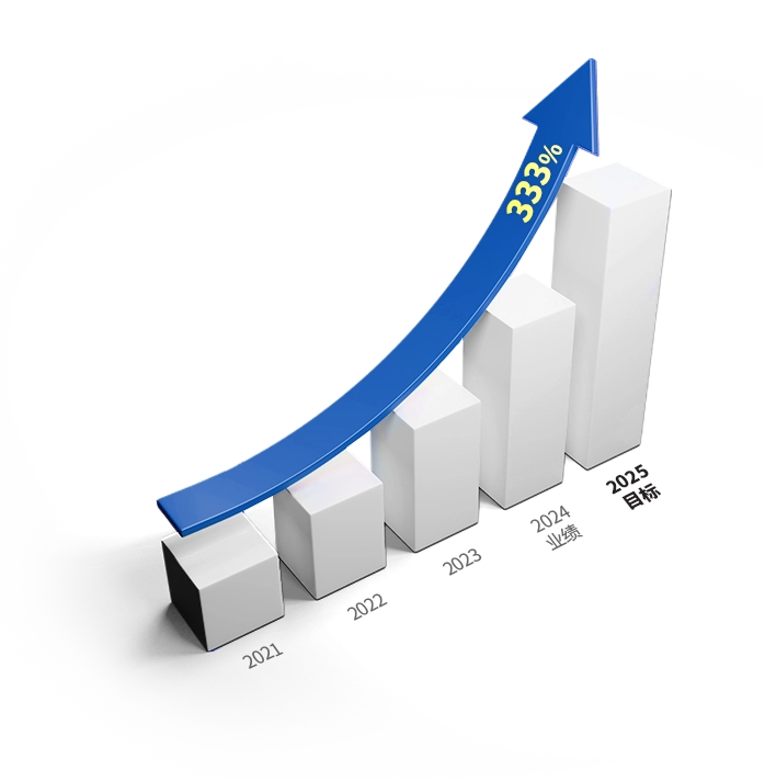2025年目标：实现333%的增长